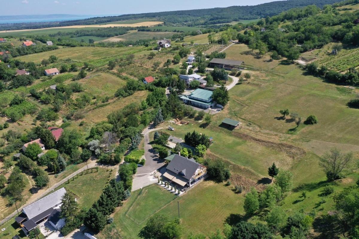 Borkuti Panzio Es Apartman Balatonszárszó 外观 照片