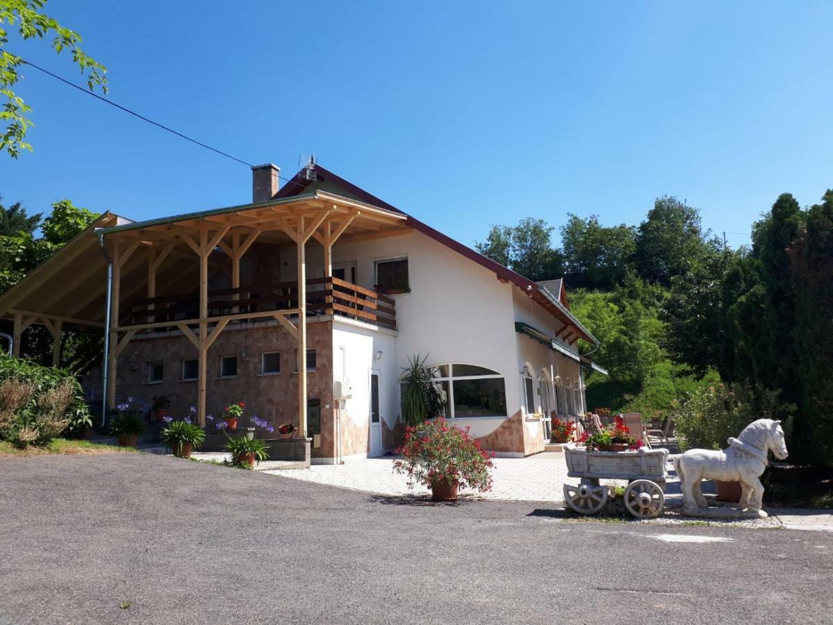 Borkuti Panzio Es Apartman Balatonszárszó 外观 照片